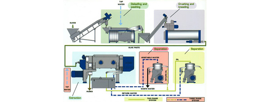 proces prerade maslina